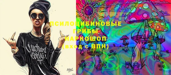 apvp Елабуга