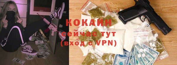 спайс Ельня