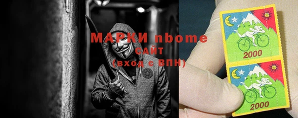стаф Елизово