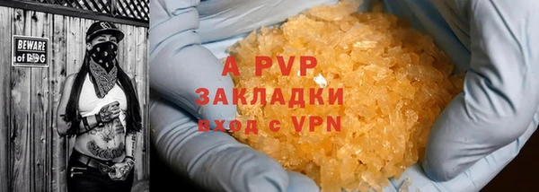 стаф Елизово